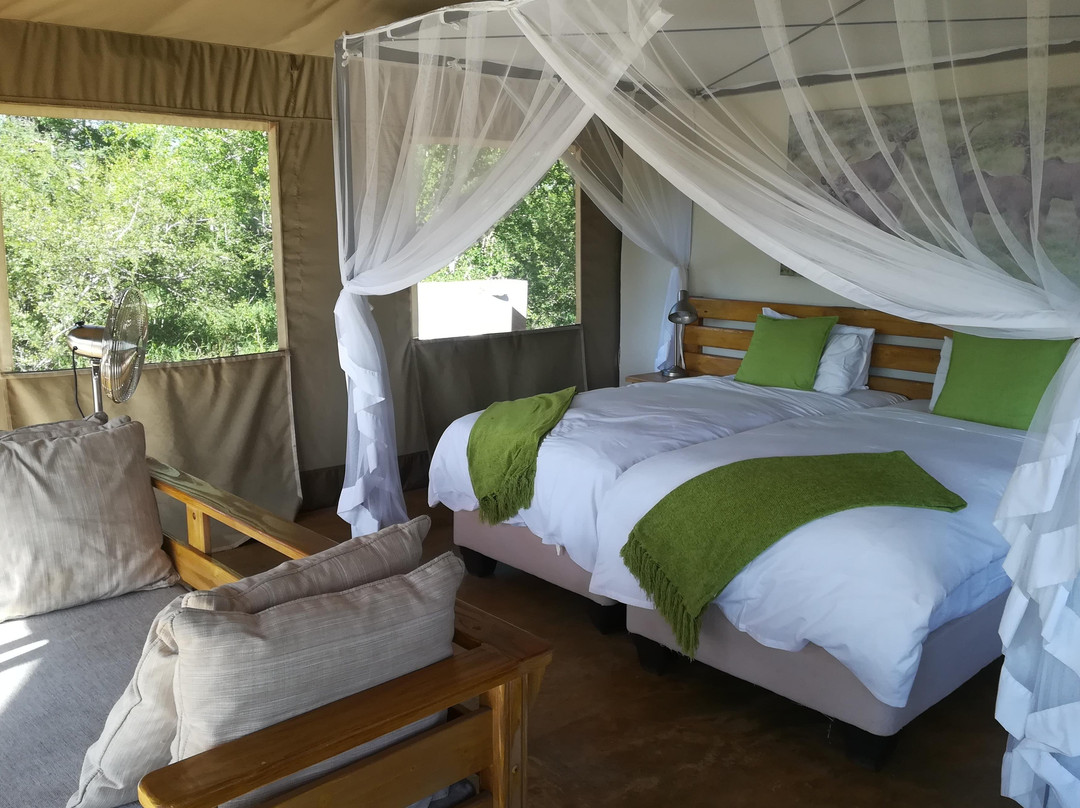 Albatros Travel-Century City必去景点