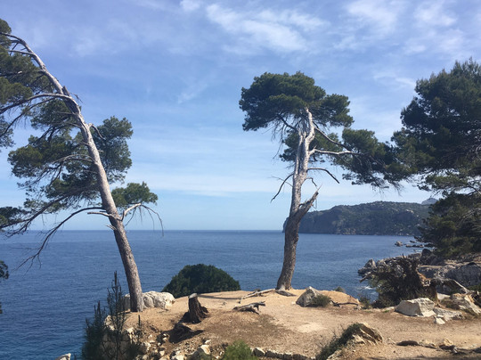 Mallorca Walks.com-索列尔港必去景点