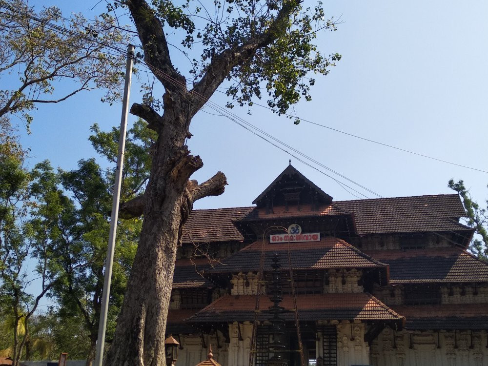 Vadakkunnathan Temple景点图片
