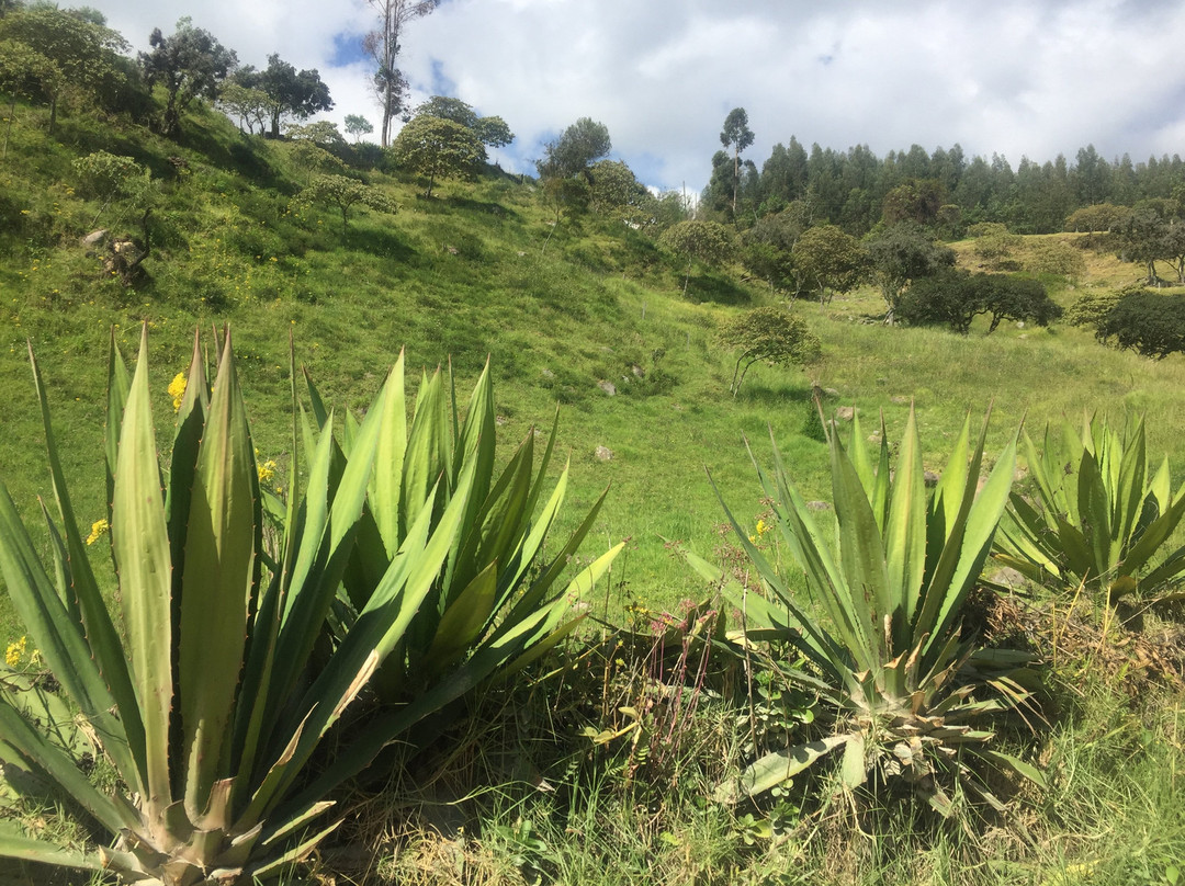 Sendero Ecologico la Zarza-Duitama必去景点