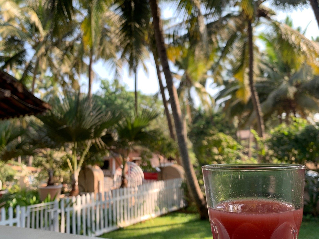 Vivenda Dos Palhacos主图