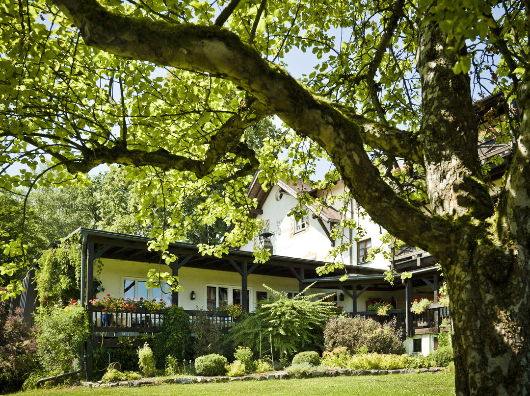 Hotel zur Waldbahn主图