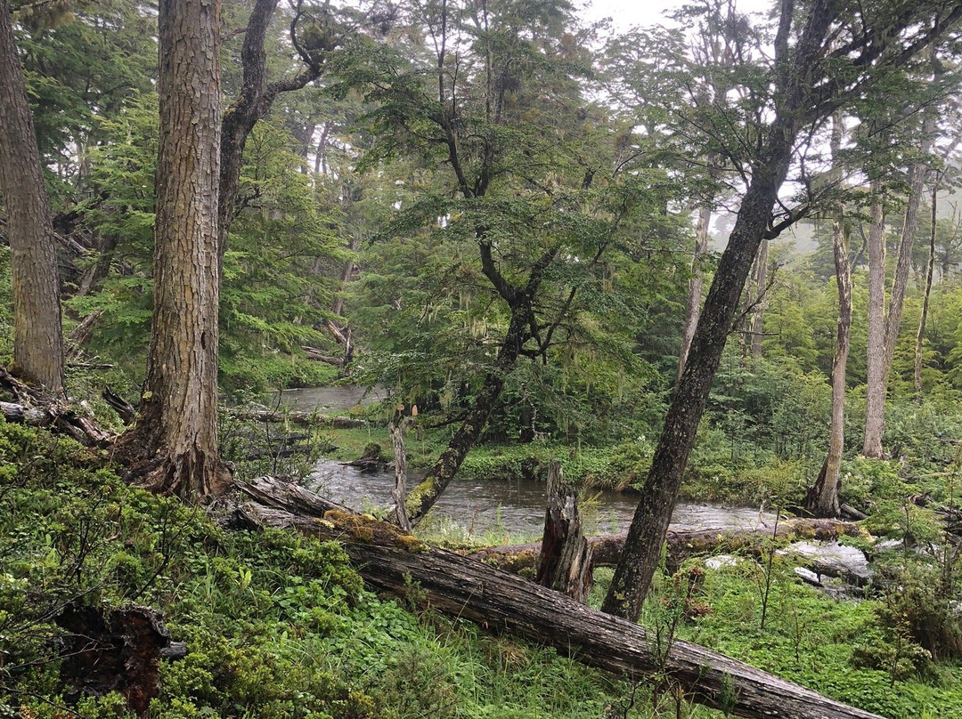 Parque Etnobotanico Omora景点图片