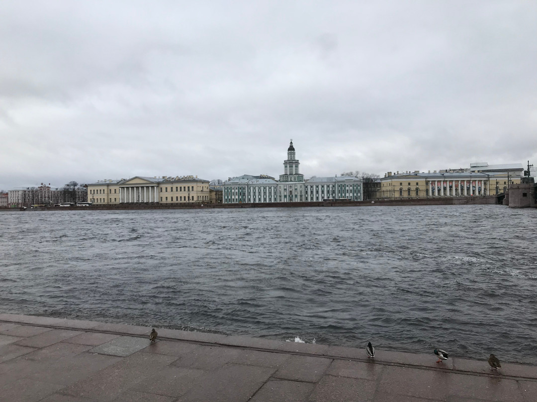 RusLed-圣彼得堡必去景点