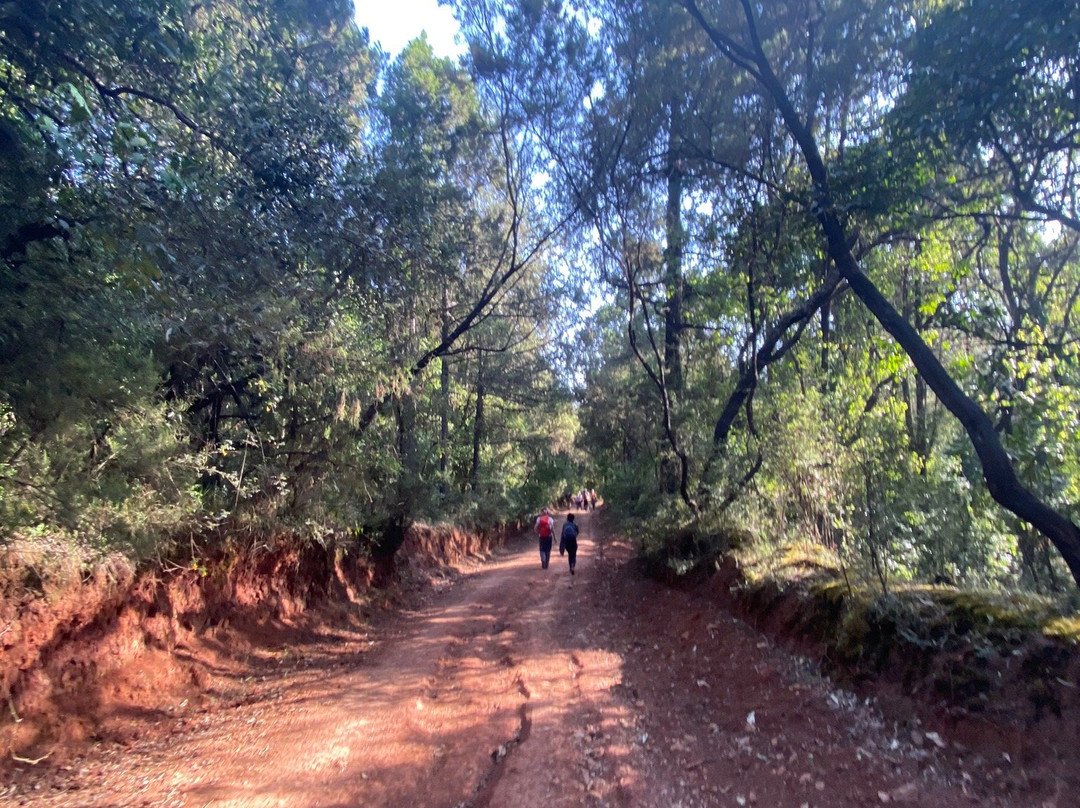 Run Africa-亚的斯亚贝巴必去景点