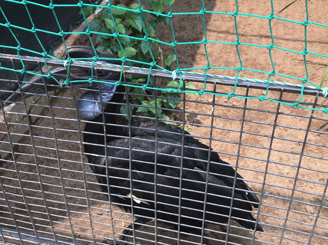 Lory Park景点图片