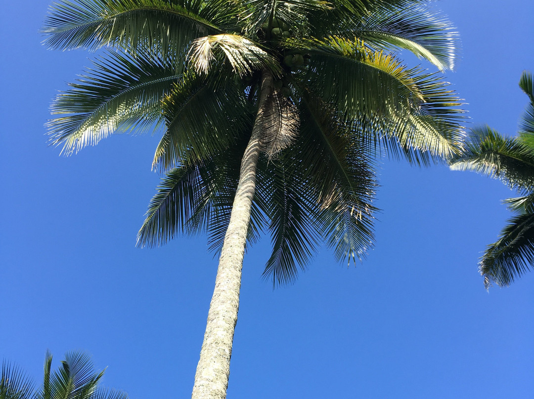 Jim's Farm Villas主图