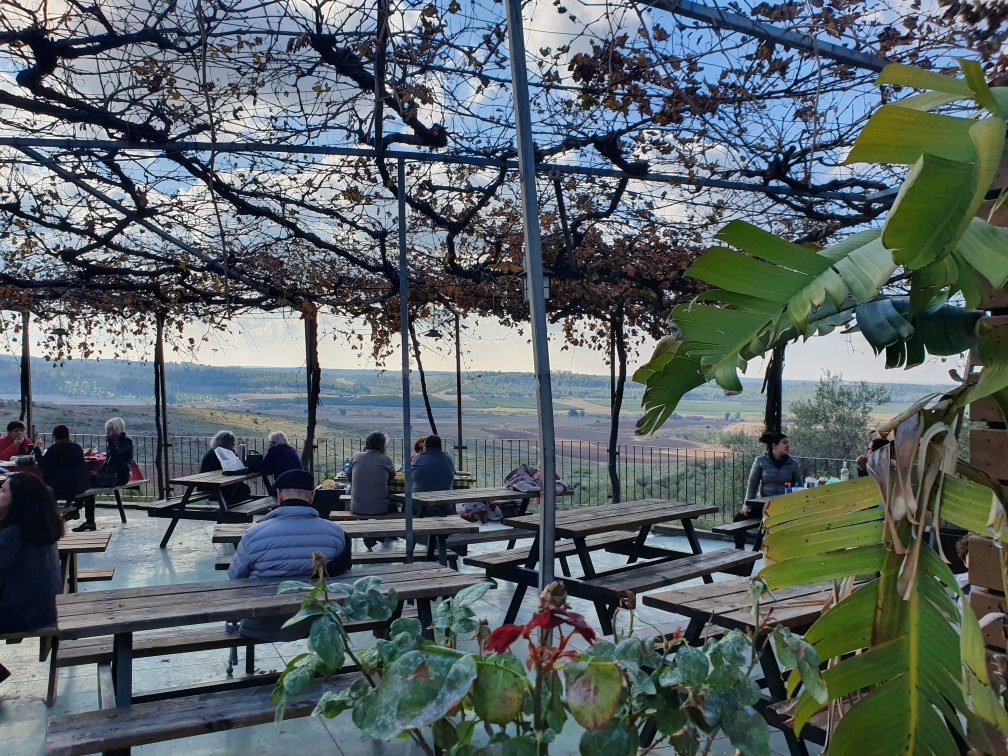 Mony Vineyard-Beit Shemesh必去景点