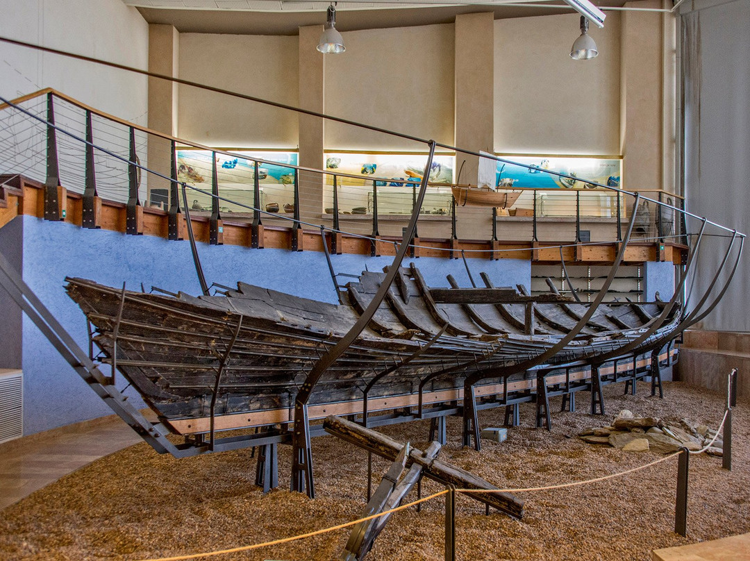 Hecht Museum, University of Haifa-Haifa必去景点