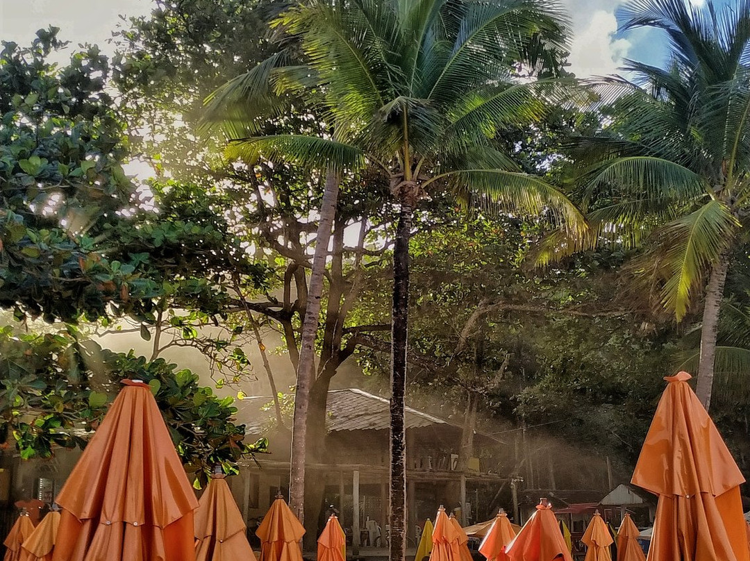 Ribeira Beach-Itacare必去景点