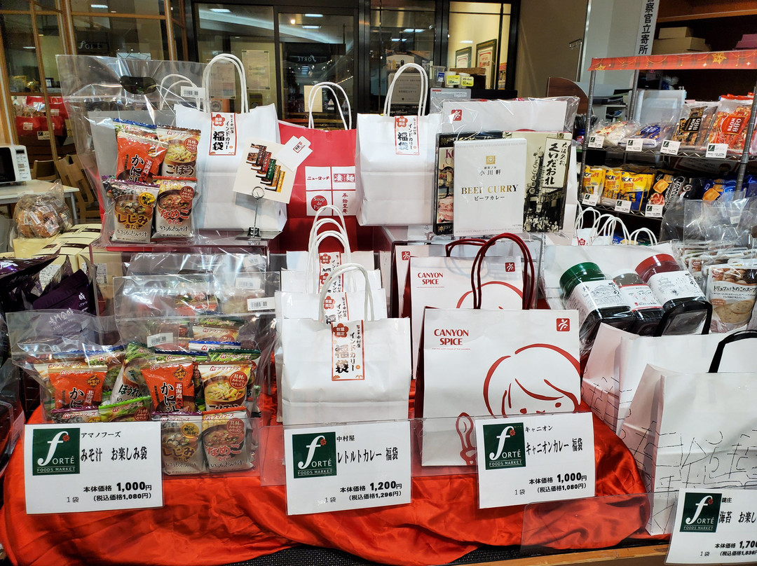 Forte Wajima-和歌山市必去景点