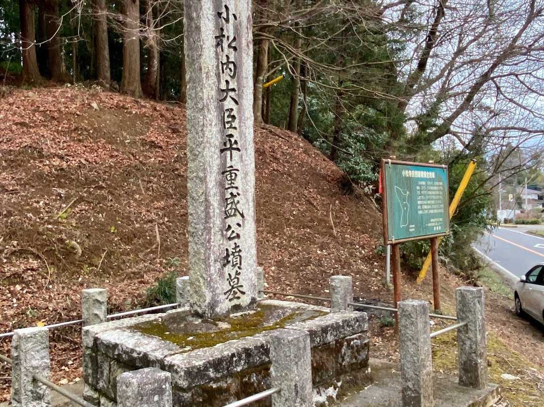 Komatsu-ji Temple景点图片