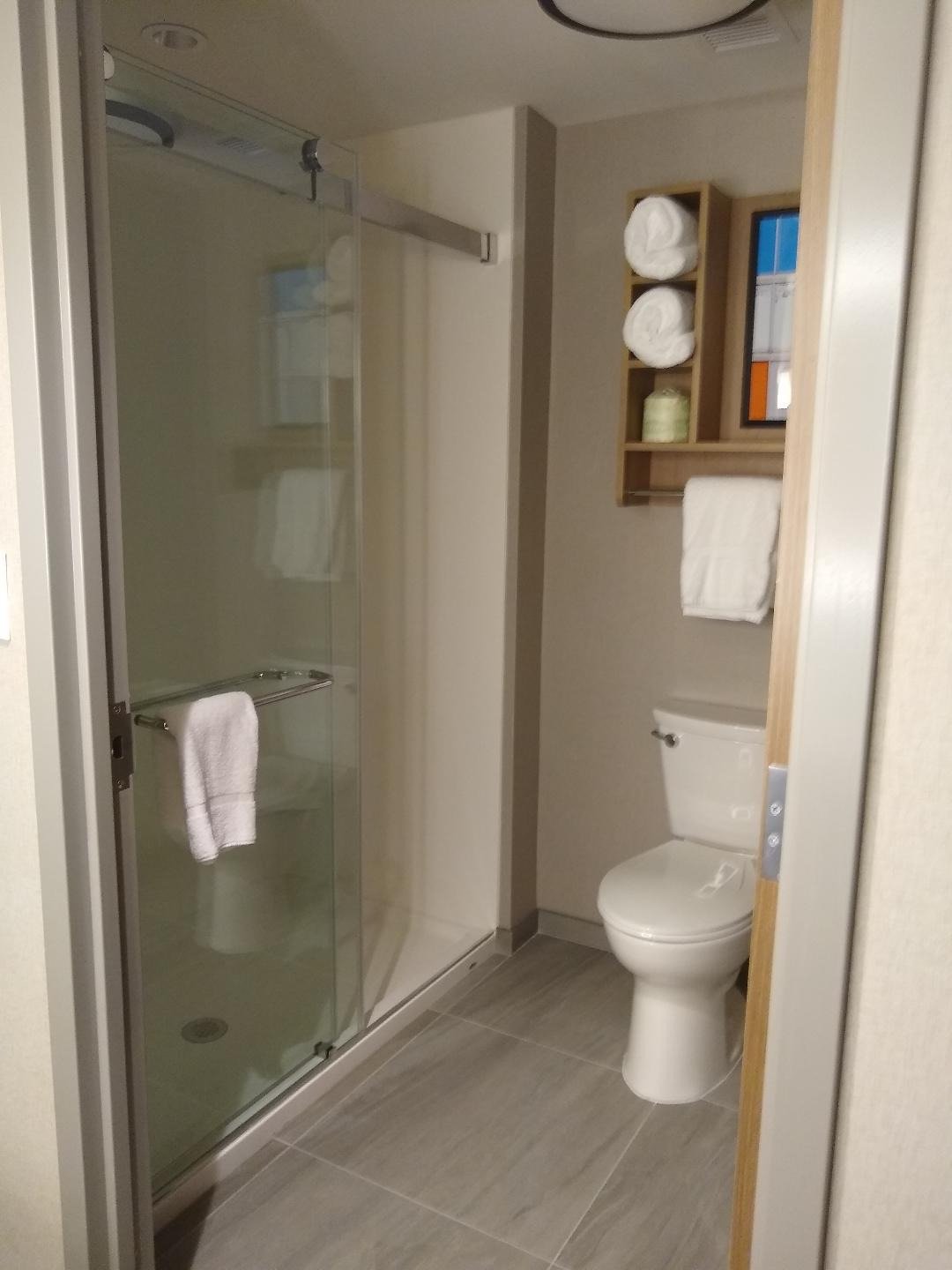 Homewood Suites by Hilton Boston Woburn-浴室