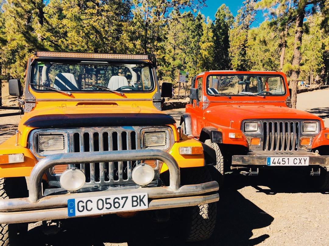 Buggy Quad Tenerife-美洲海滩必去景点