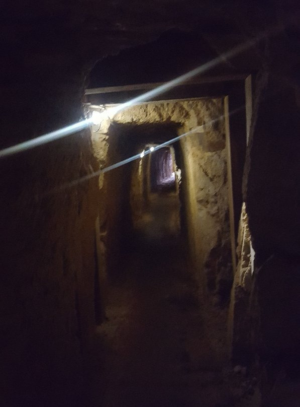 Goldmine Experience景点图片