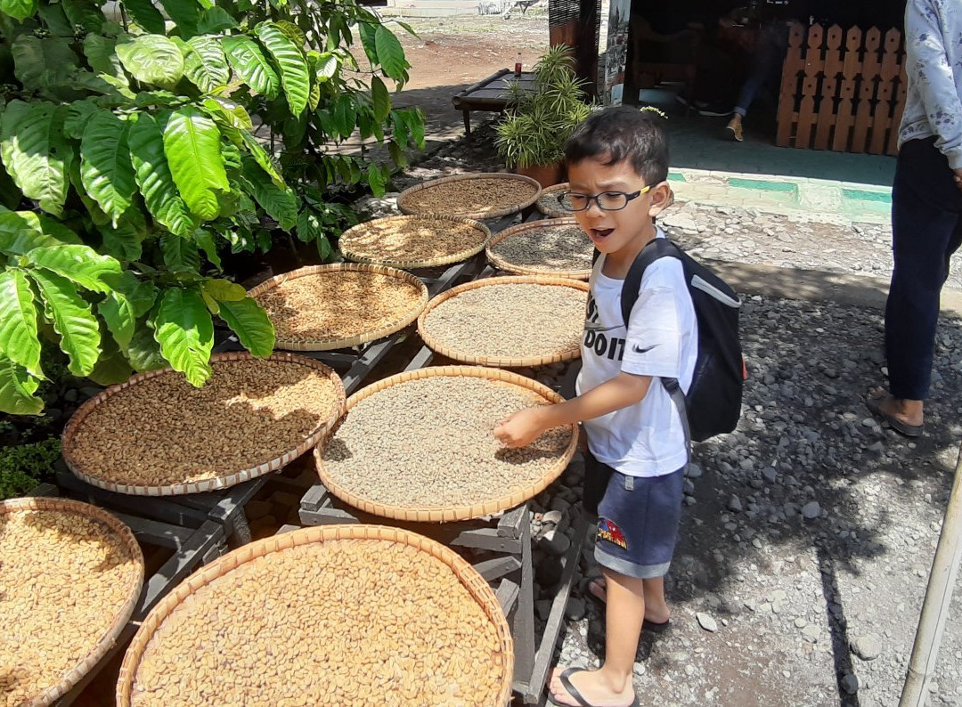 Pawon Luwak Coffee-Borobudur必去景点