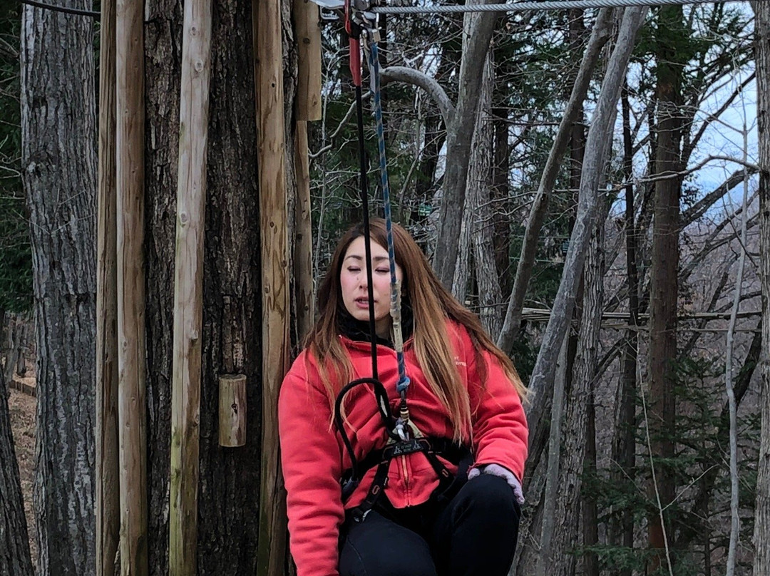 Forest Adventure Chichibu-秩父市必去景点