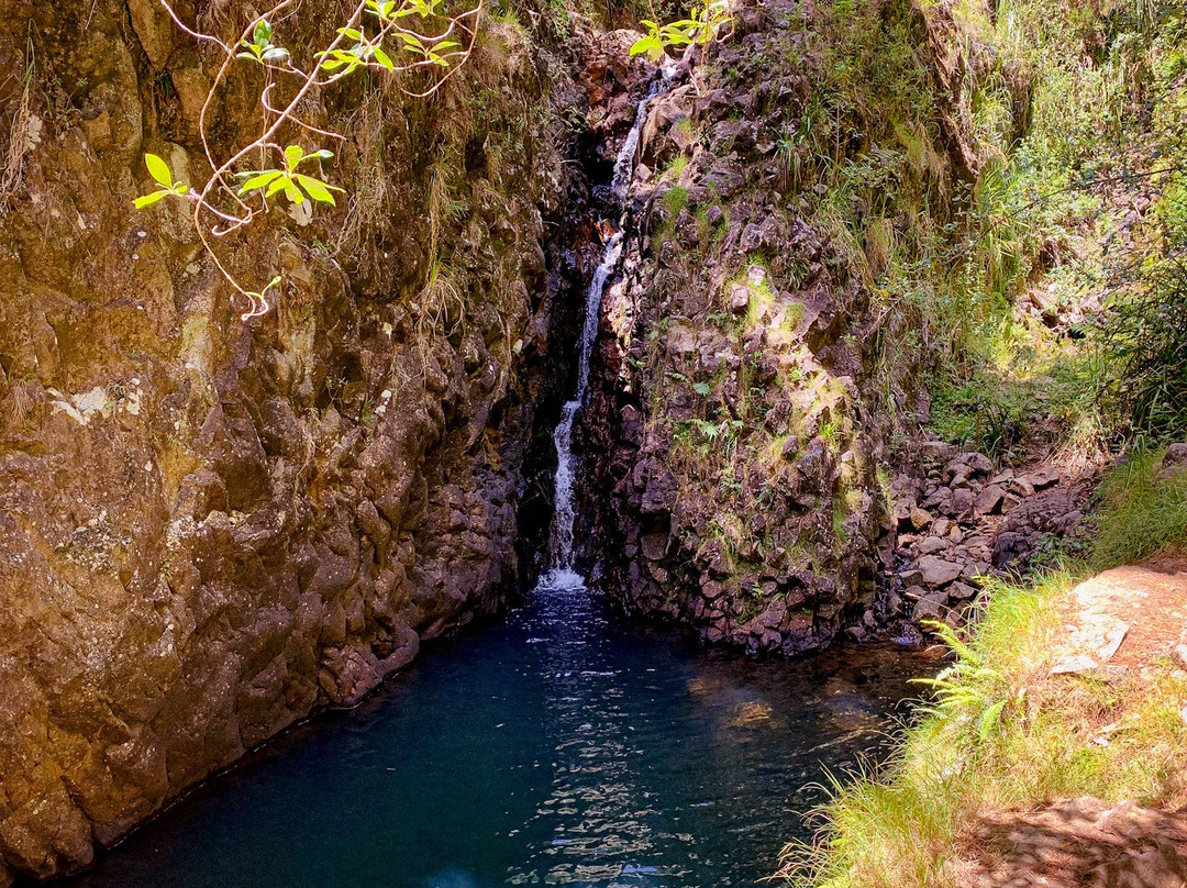 Pauanui Waterfall景点图片