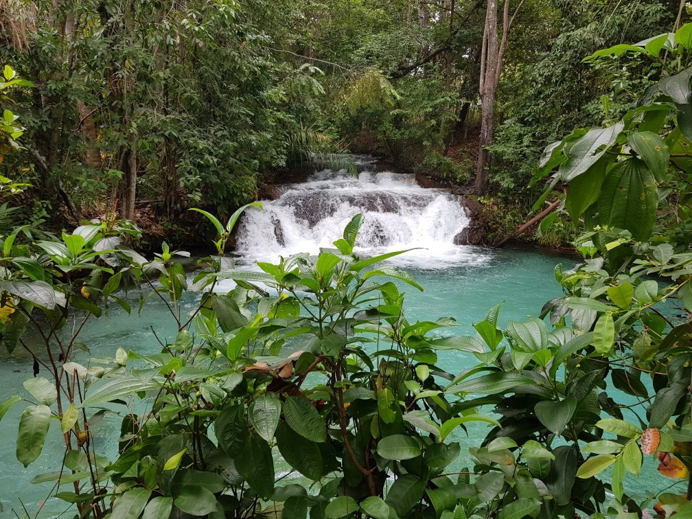 Cachoeira do Formiga景点图片