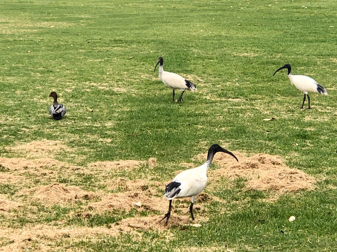 Ozone Reserve-珀斯必去景点