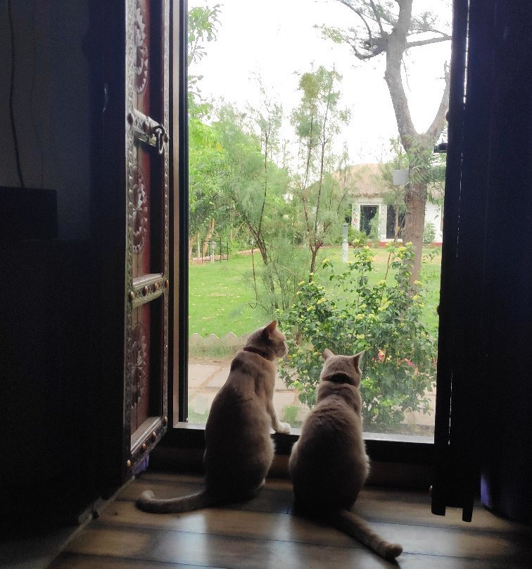 Vyomanh Home Stay Jaisamand Udaipur主图