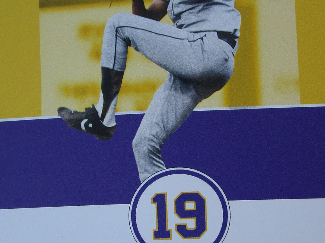 Alex Box Stadium/Skip Bertman Field-巴吞鲁日必去景点