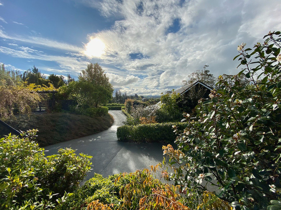 特里汗平房主图