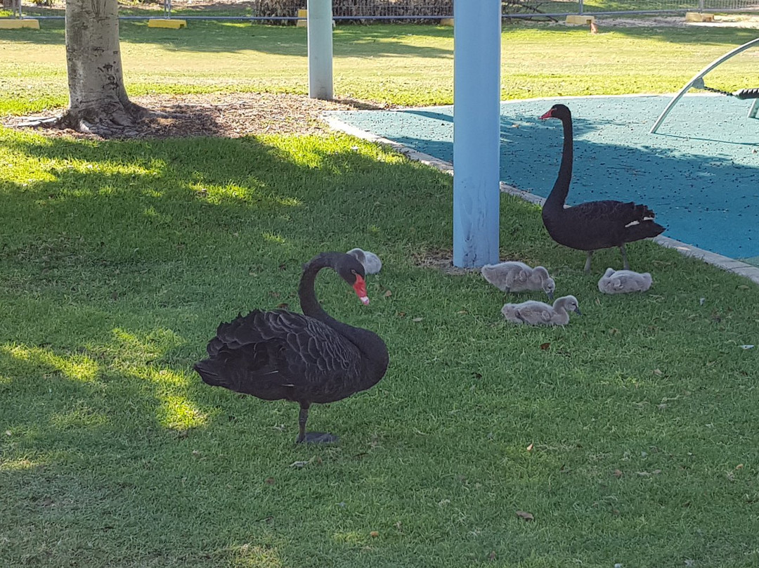 Ozone Reserve-珀斯必去景点