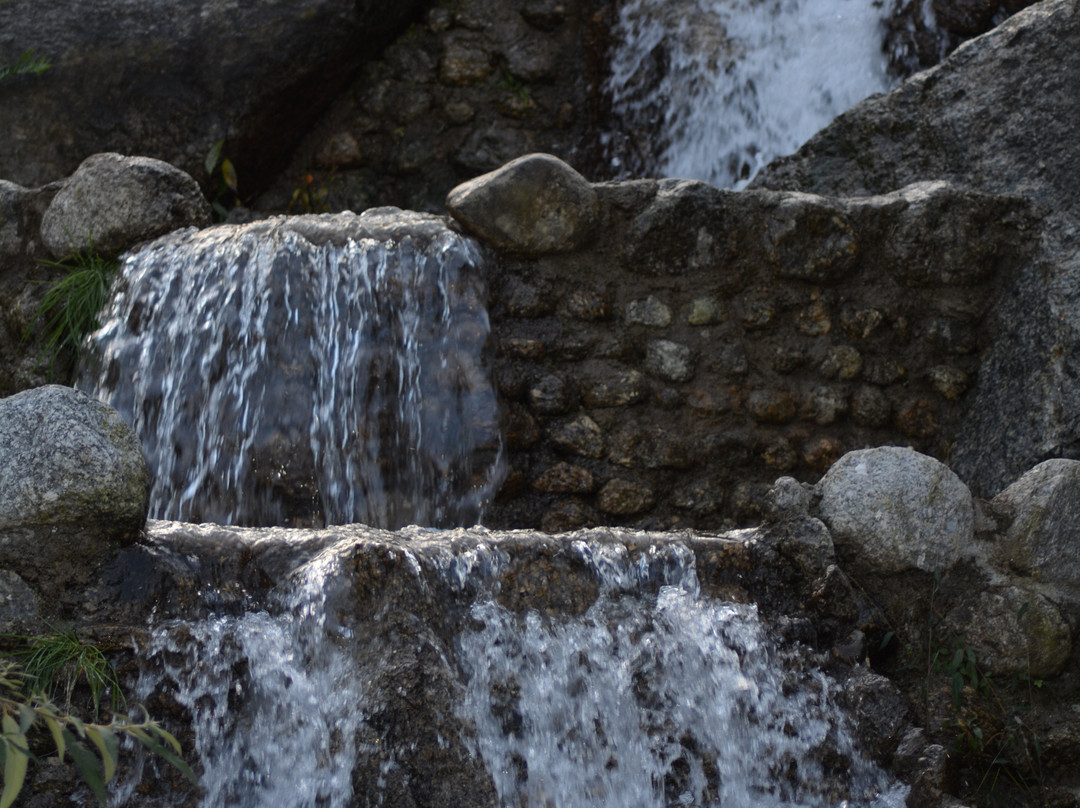 Vedic Vibes Resort主图