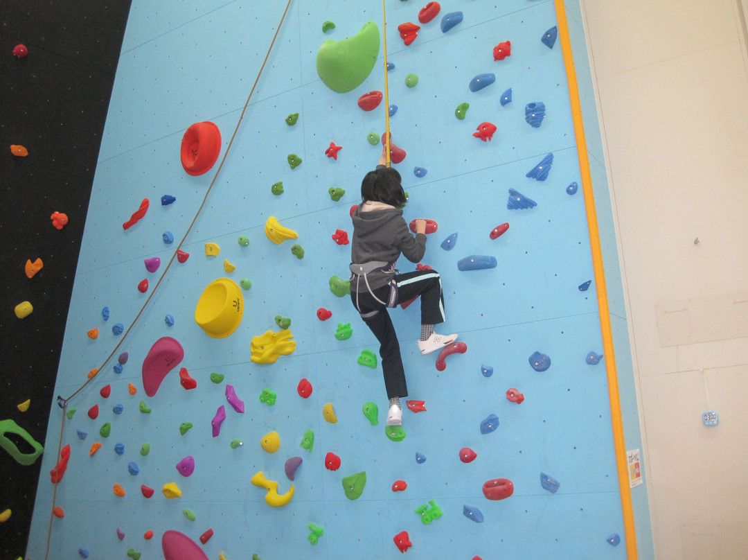 Toyokoro General Gymnastic Hall