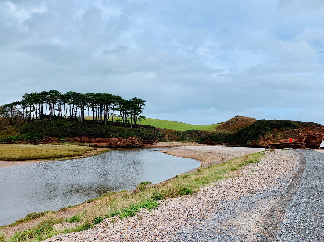 West Down Beacon walk景点图片