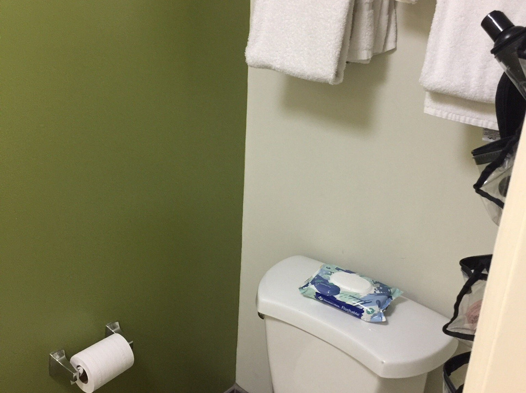 Clarion Pointe主图