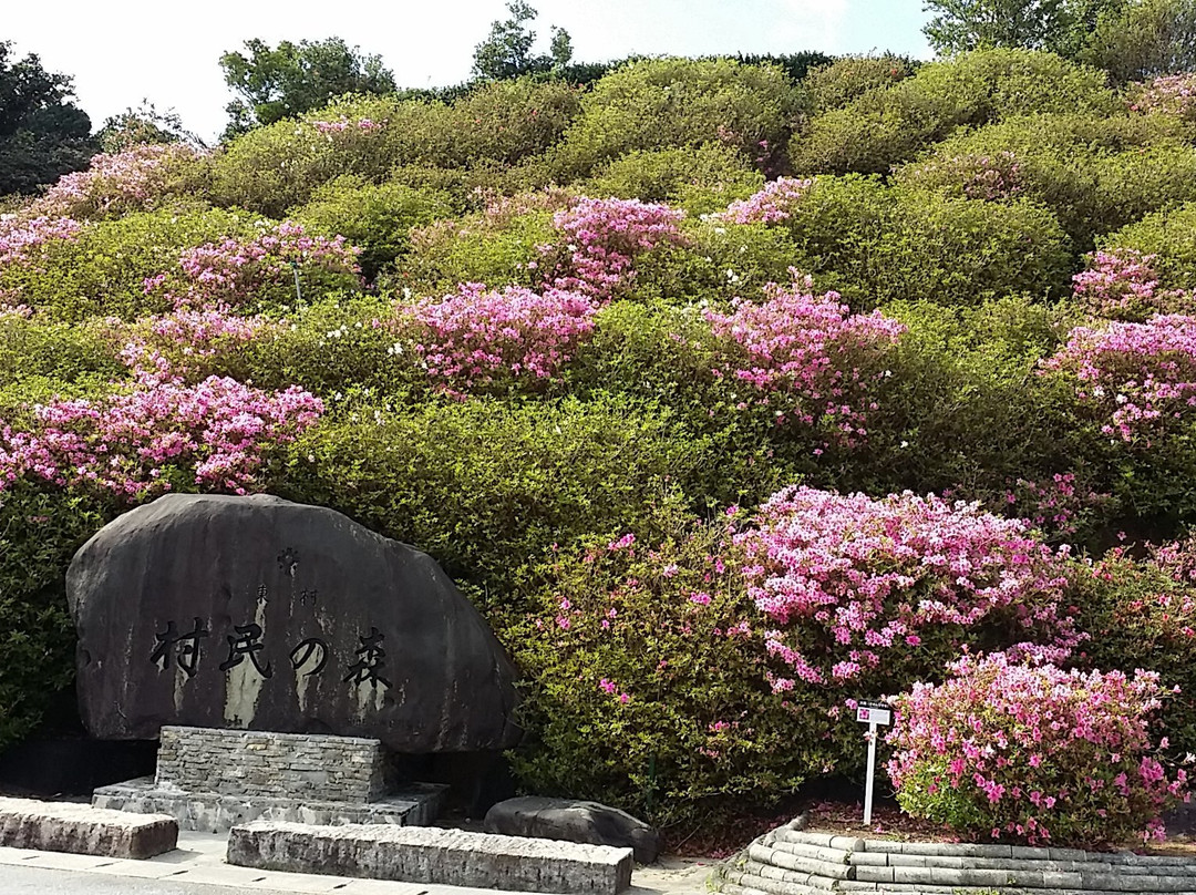 Tsutsuji Eco Park景点图片