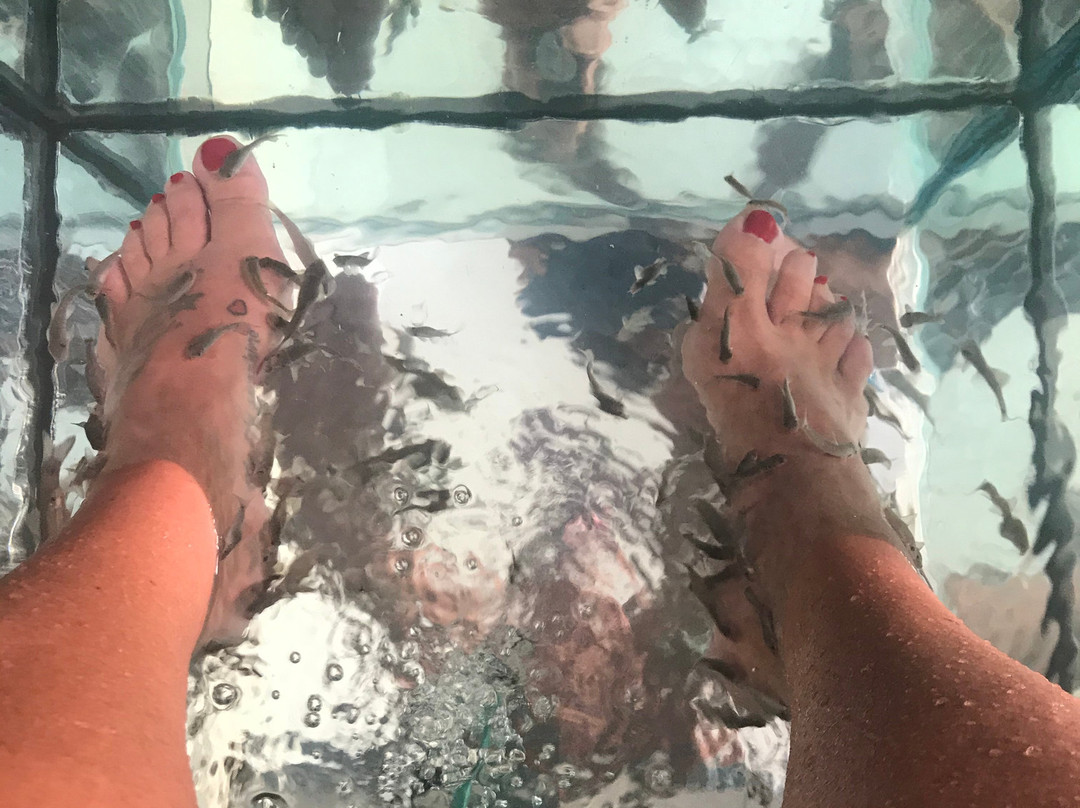 Islander Fish Spa-考祖梅必去景点