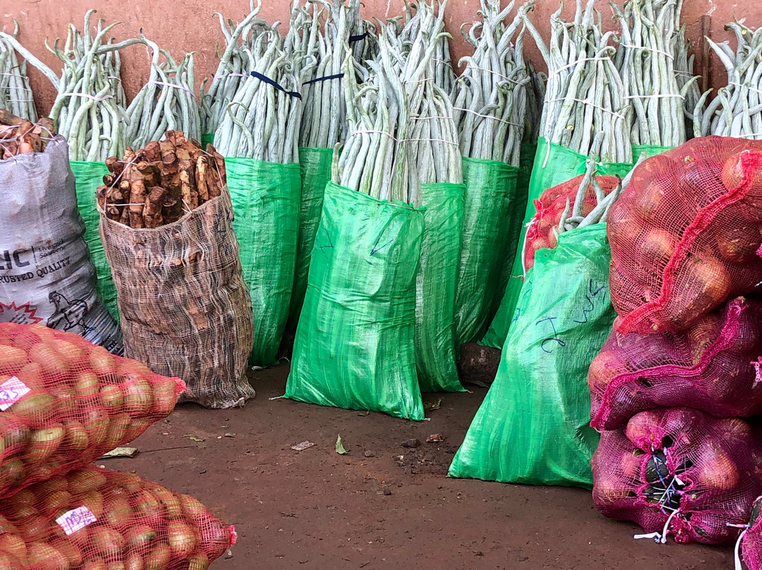 Why Not Sri Lanka-科伦坡必去景点
