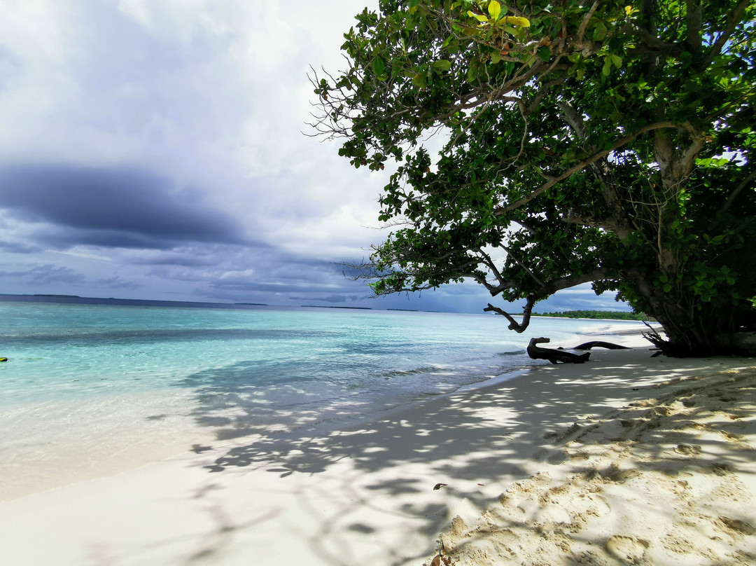 Maclura Residence主图