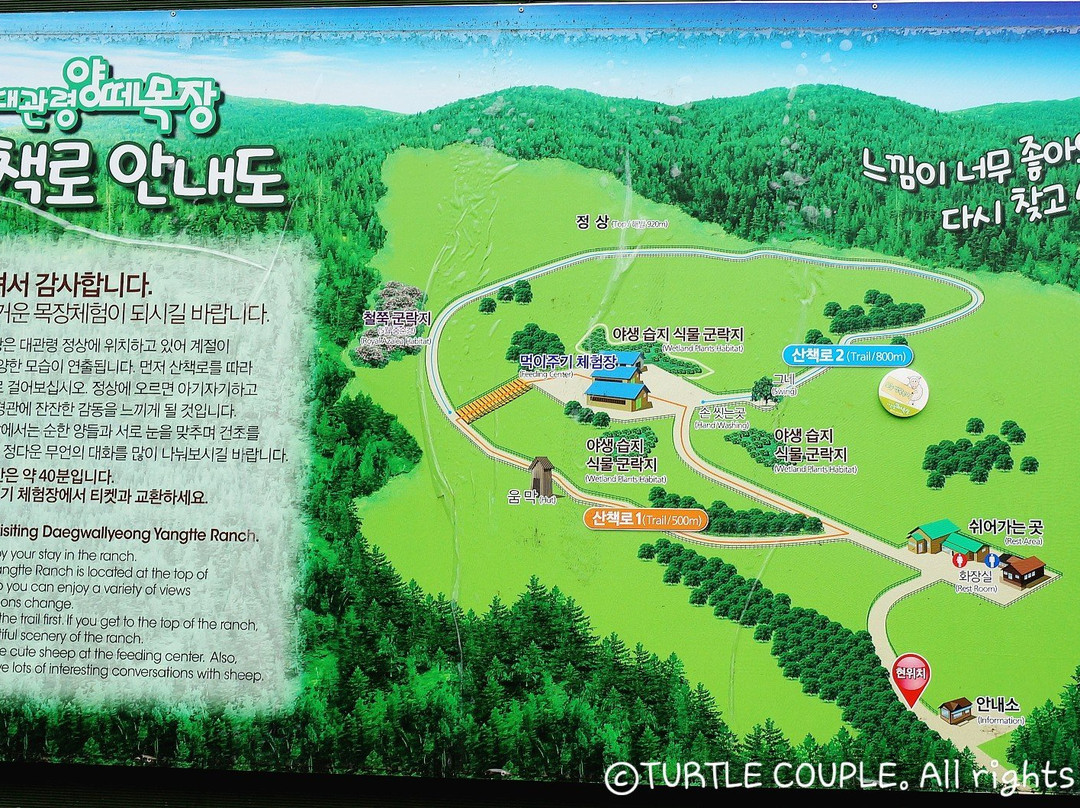 Daegwanryeong Yangtte Ranch-平昌郡必去景点