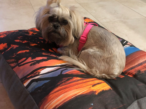 Aaron Chang Ocean Art Gallery-卡梅尔必去景点