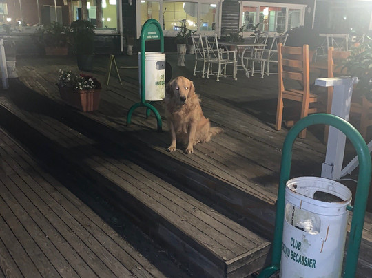 Club Grand Becassier主图