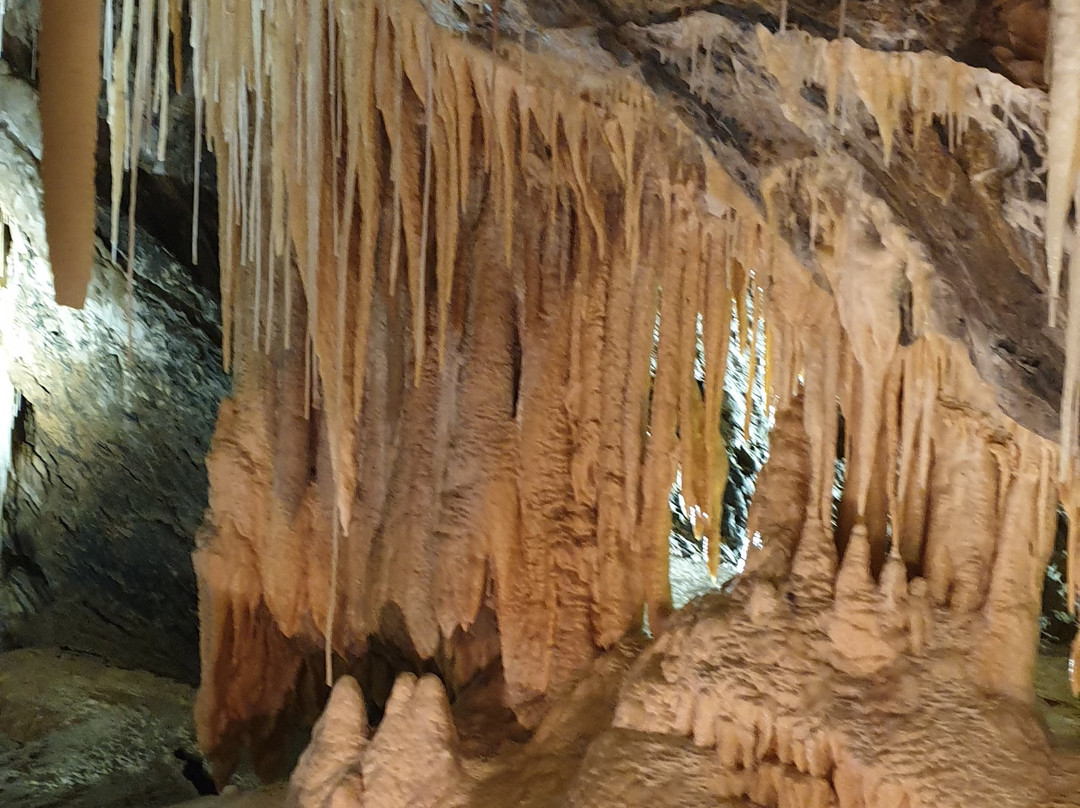 Mole Creek Caves-茉莉溪必去景点