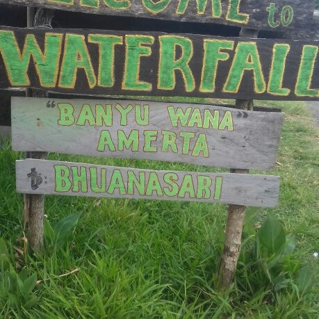 Bali Waterfalls & Jungle Trekking景点图片