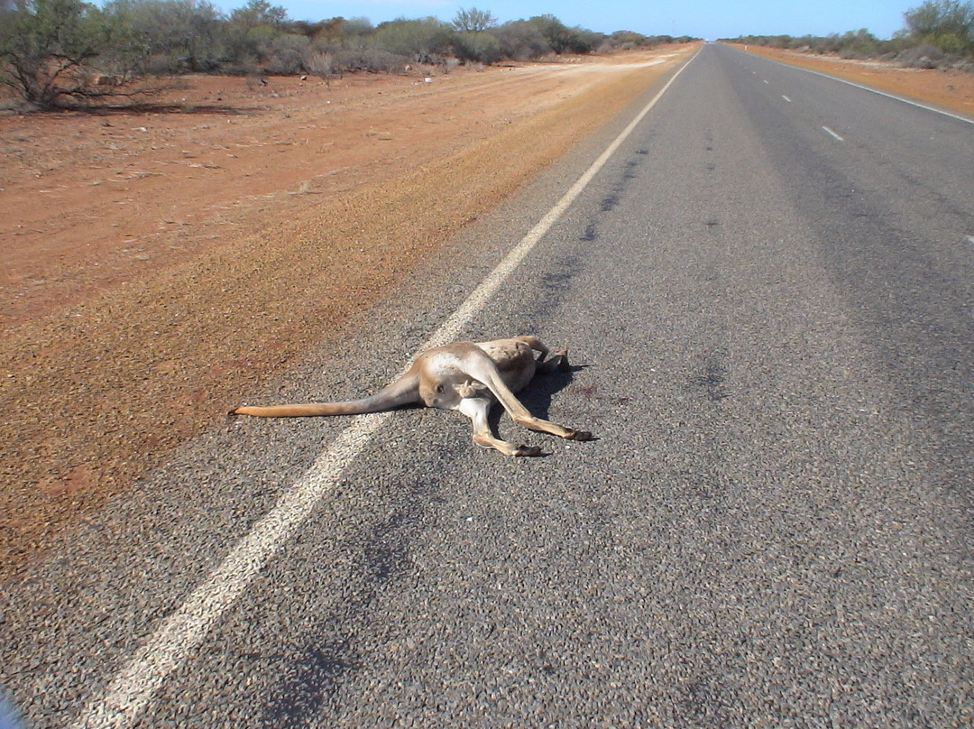 Carnarvon Visitor Centre-卡那封必去景点