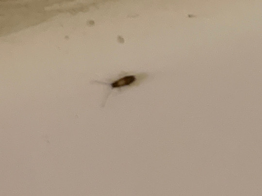 Extended Stay America Orlando - Maitland - 1760 Pembrook Dr.主图