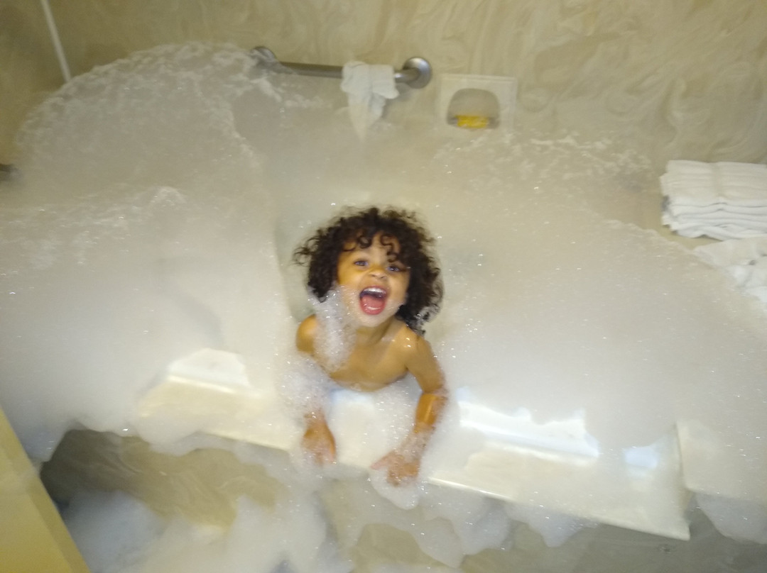 Cerulean Hotel主图