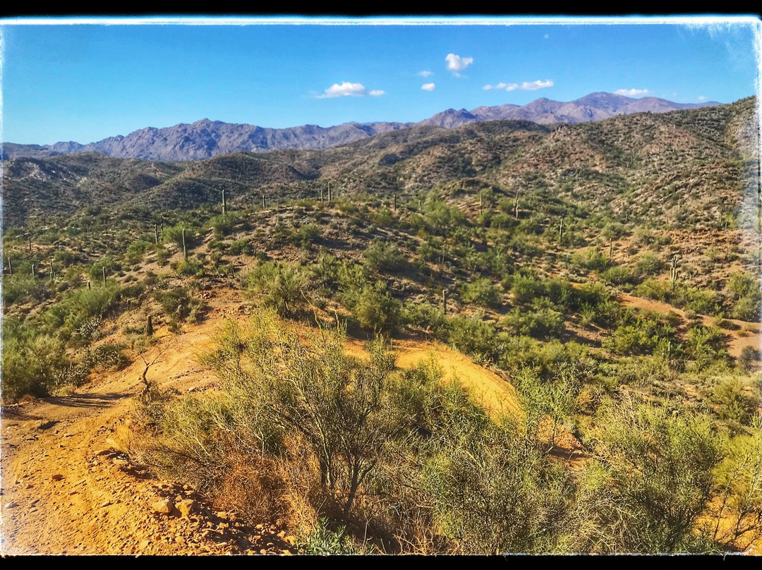 Western Offroad Adventures-New River必去景点