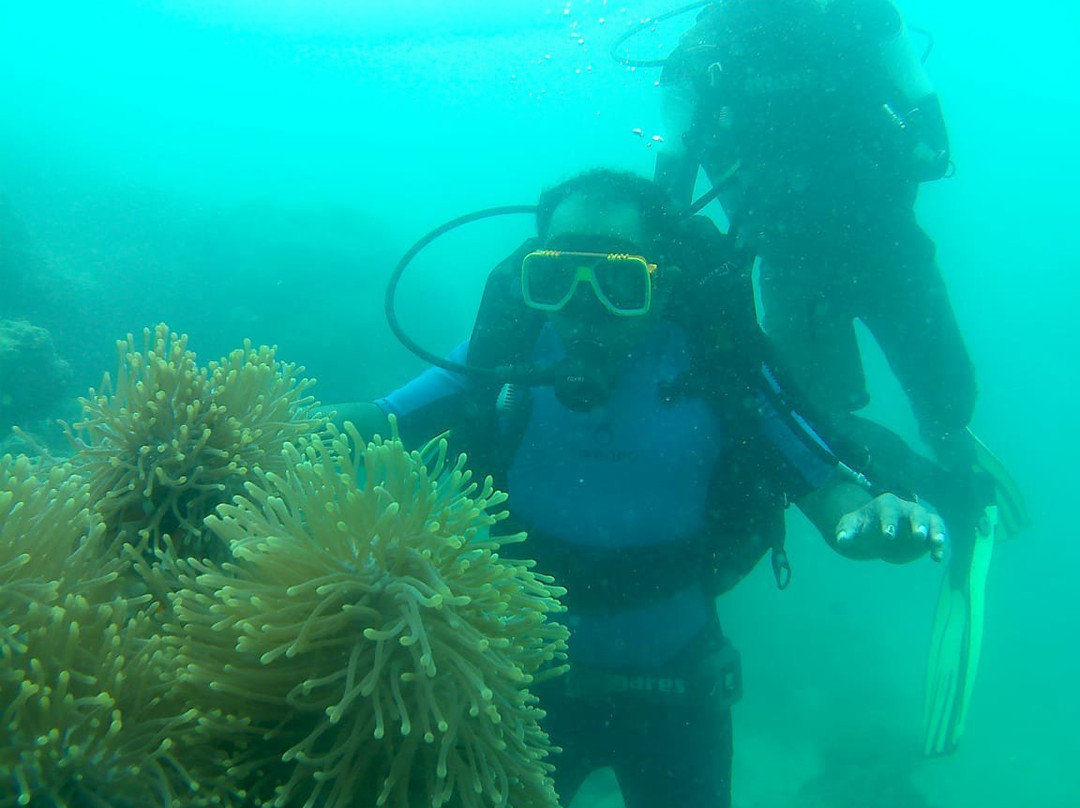 Havelock Divers-哈夫洛克岛必去景点