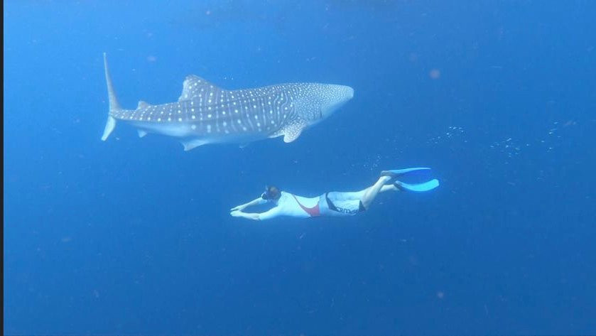 Kali Lemon Dive Resort主图