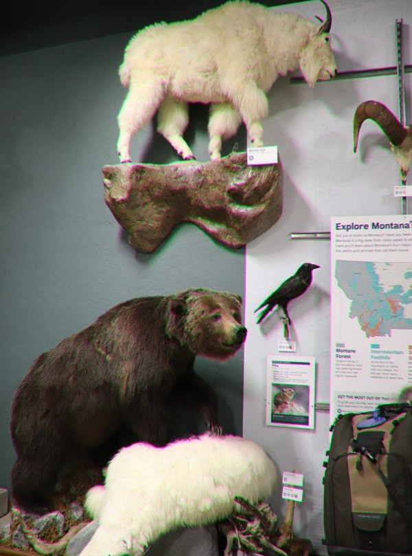 Montana Natural History Center-米苏拉必去景点