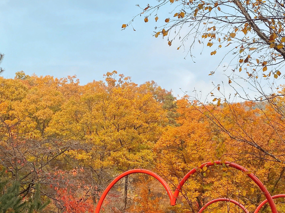 Hwadam Botanic Garden-光州市必去景点