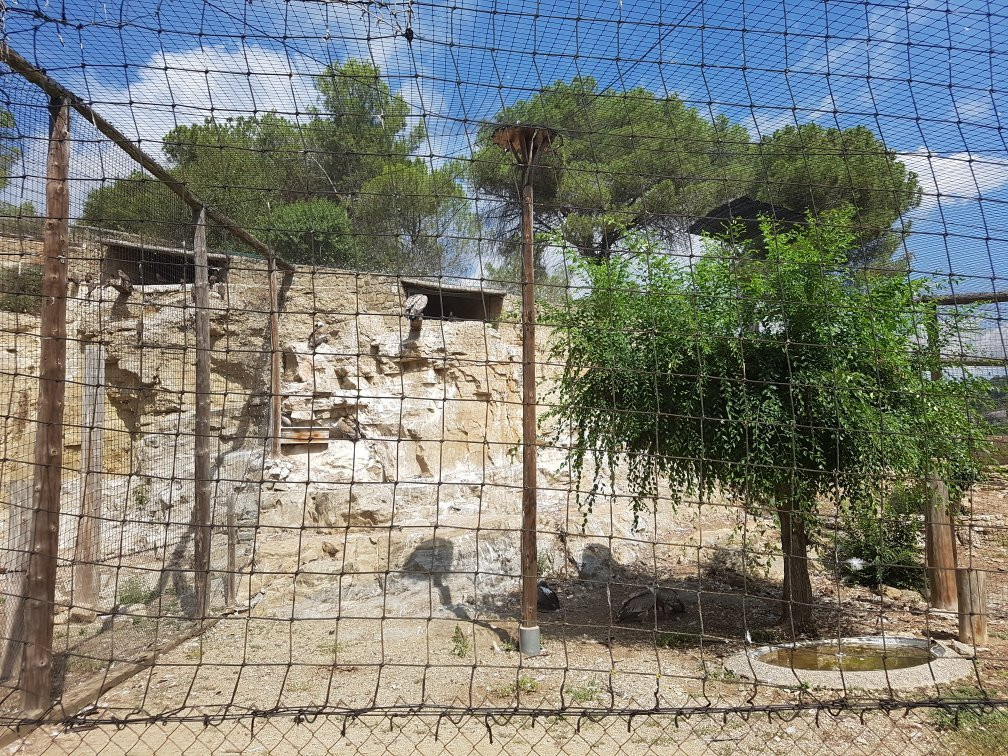 Cim d'Àligues-Sant Feliu de Codines必去景点